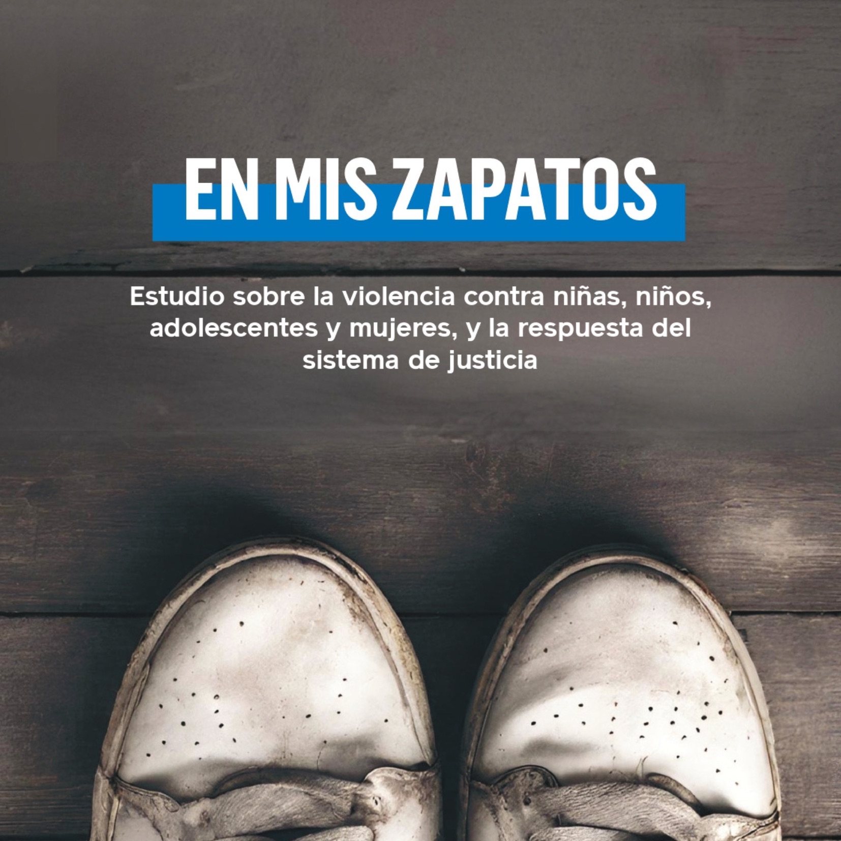 EN MIS ZAPATOS: Estudio sobre la violencia contra niñas, niños, adolescentes y mujeres, y la respuesta del Sistema de Justicia