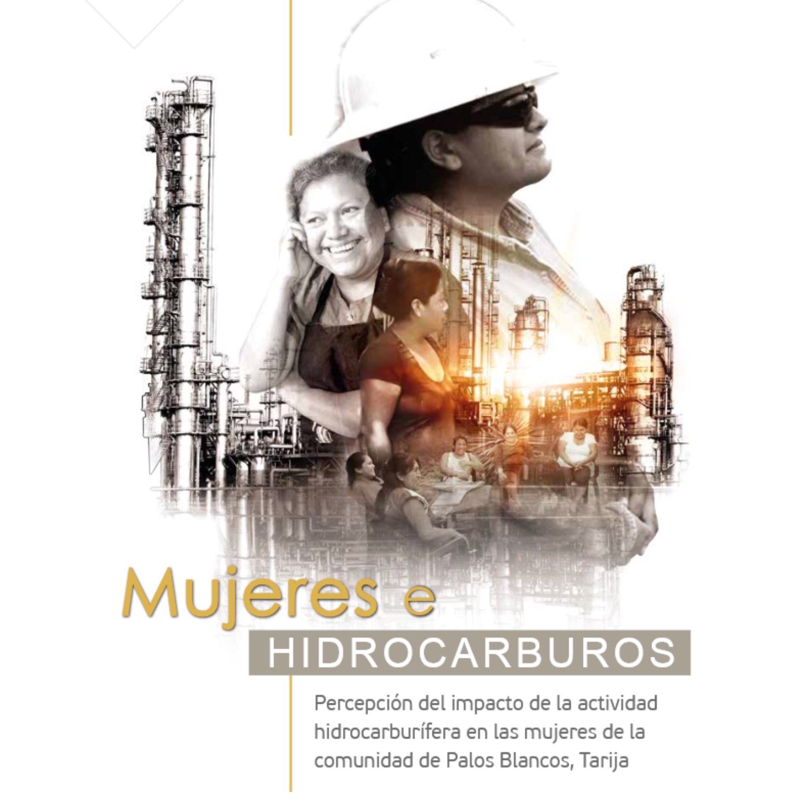 Mujeres e hidrocarburos: Percepción del impacto de la actividad hidrocarburífera en las mujeres de la comunidad de Palos Blancos, Tarija