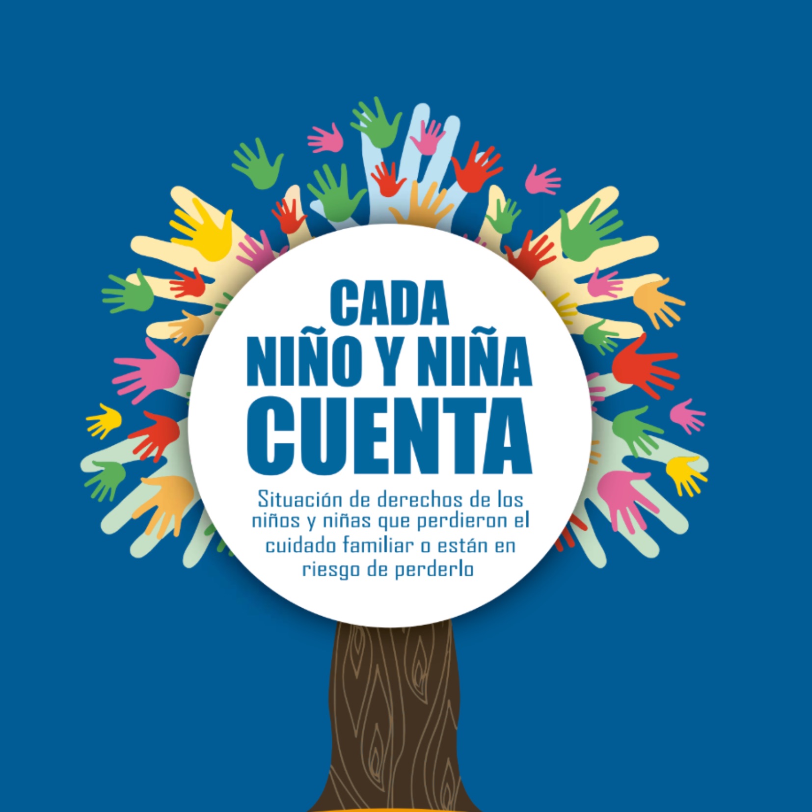 Cada niño y niña cuenta: Situación de derechos de los niños y niñas que perdieron el cuidado familiar o están en riesgo de perderlo