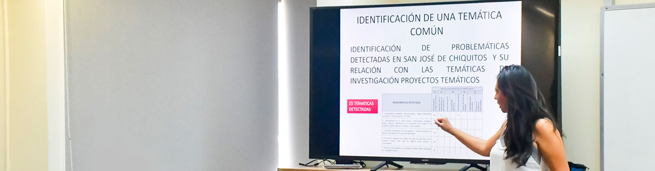 Líneas de Investigación